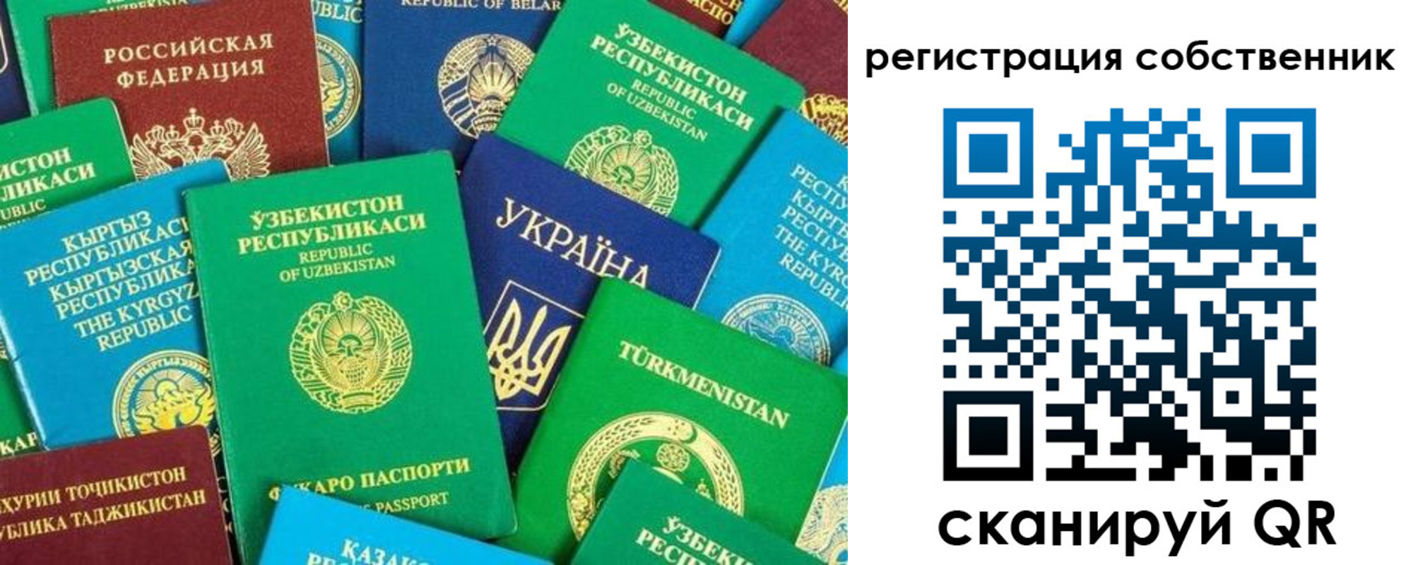 прописка в Завитинске